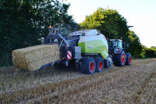 harvest wheat fendt