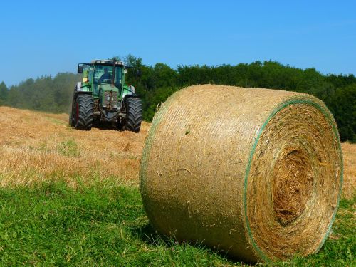 harvest harvested field