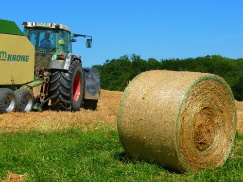 harvest harvested field