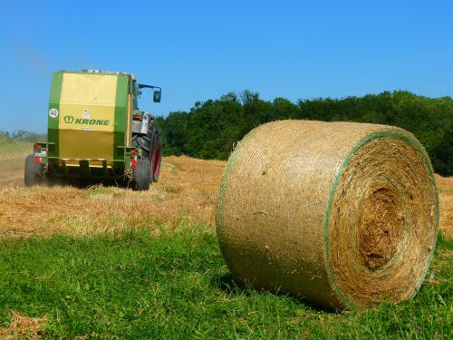 harvest harvested field