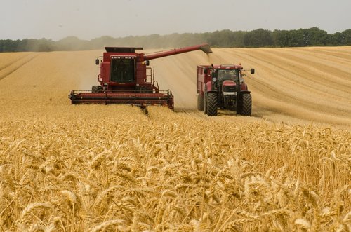 harvester  tractor  wheat
