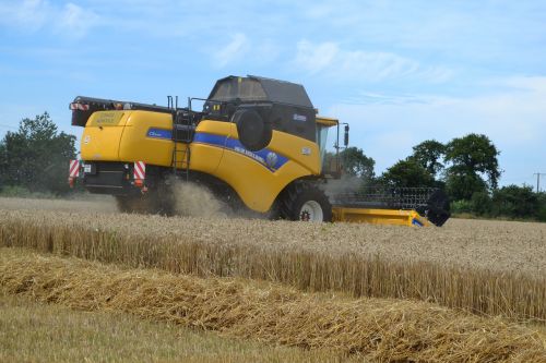 harvester wheat harvest