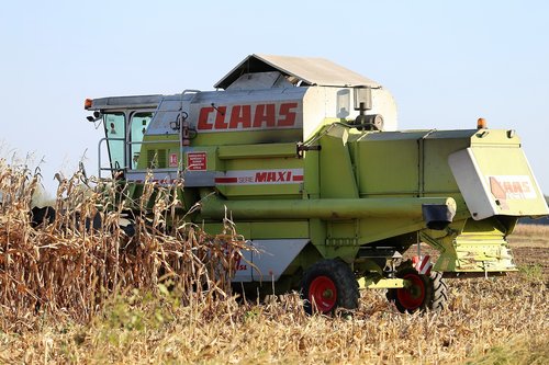 harvester claas dominator 98 sl  in the field  corn harvesting