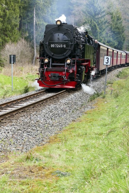 harzquerbahn railway narrow gauge