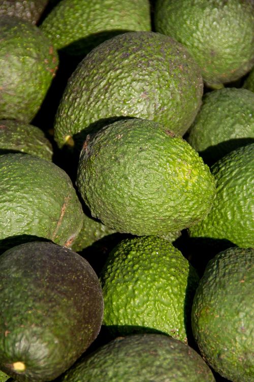hass avocado avocados fruit