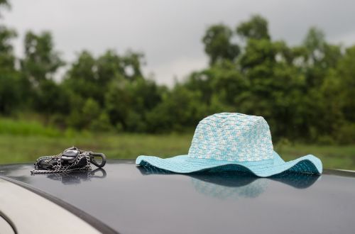 hat car nature