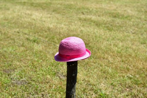 hat meadow wood pile