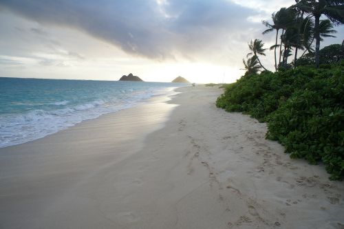 hawaii sea ocean