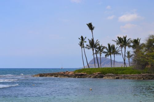 hawaii beach ocean
