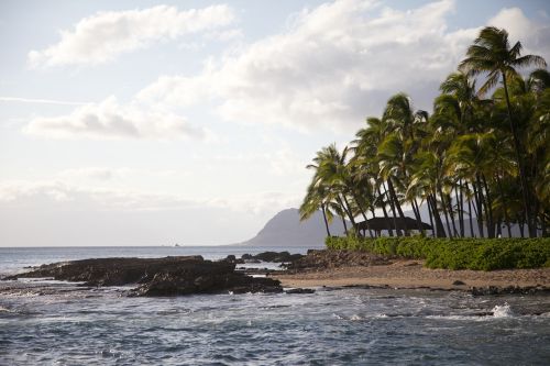 hawaii ocean beach