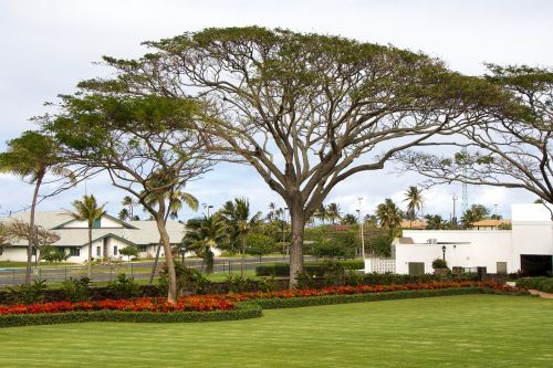 hawaii oahu garden