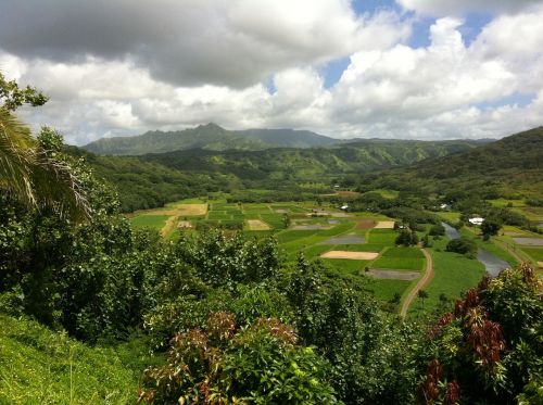 hawaii farms landscape