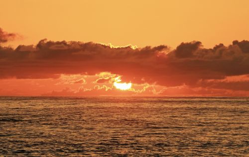 hawaii sunrise beach