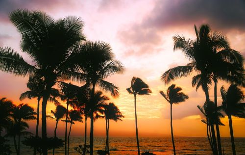 hawaii sunset dusk