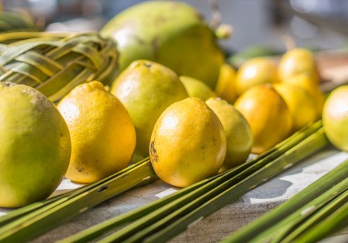 hawaii farmer market lemons