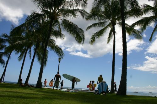 hawaii beach surf