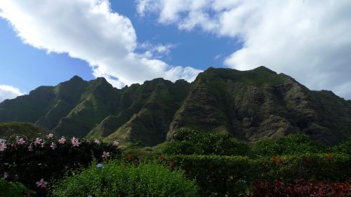 hawaii landscape nature