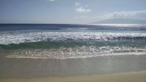 hawaii beach ocean