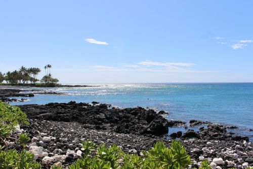 hawaii beach ocean