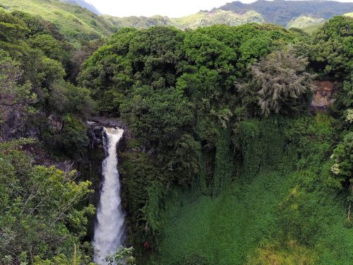hawaii waterfall tropical