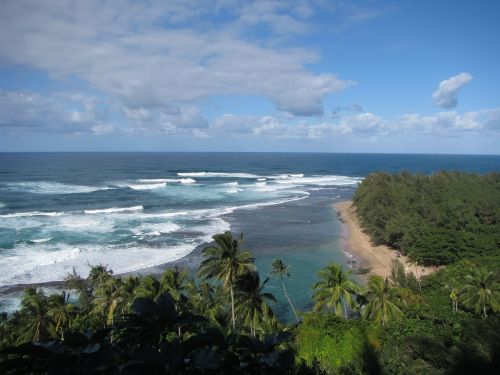 hawaii beach shore