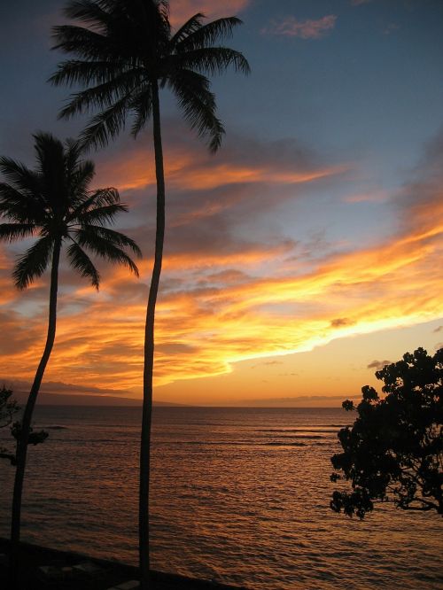 hawaii sunset tropical