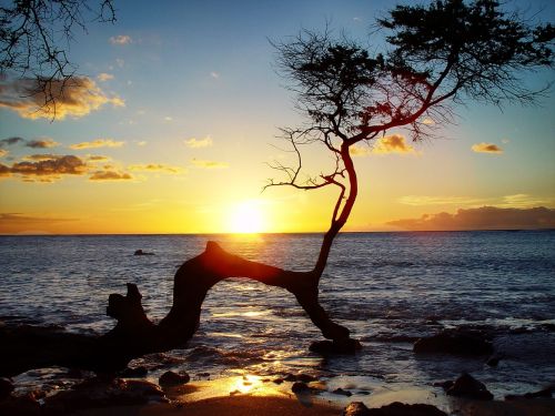 hawaii sunset ocean