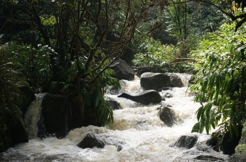 hawaii tropical waterfall