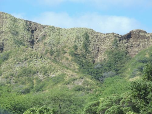 Hawaiian Landscape