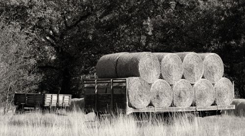 hay bales farm