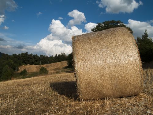 hay bale hay bales