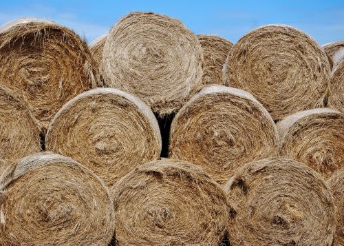 hay bales round