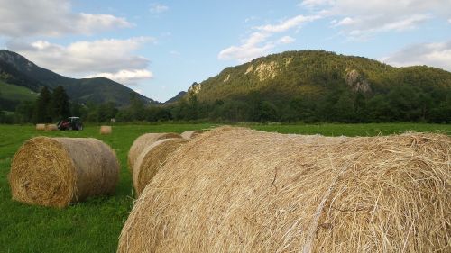 hay harvest agriculture