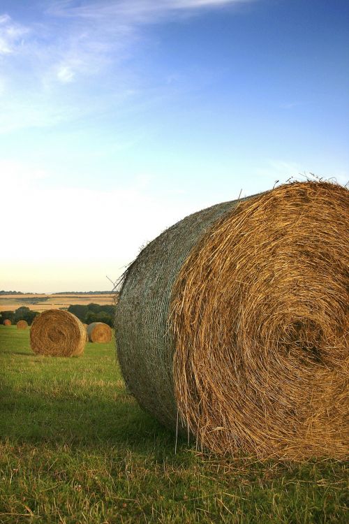 hay balls field