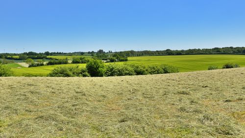 hay landscape fields