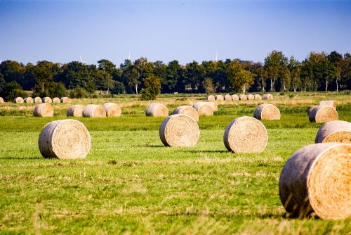 hay bale agriculture