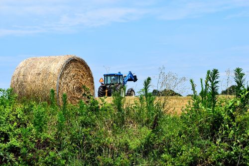 hay bales tractor