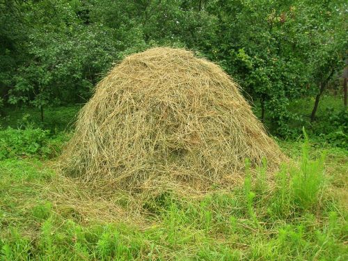 hay rick village