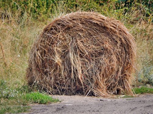 hay rick haystack