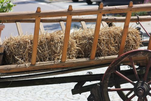 hay wagon farm
