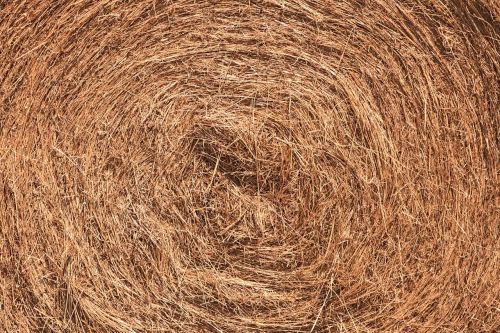 hay texture ball