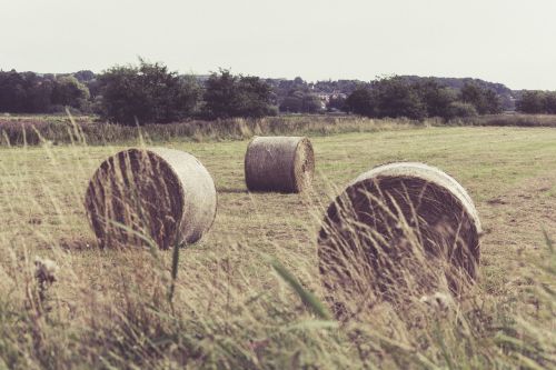 hay bale haystack