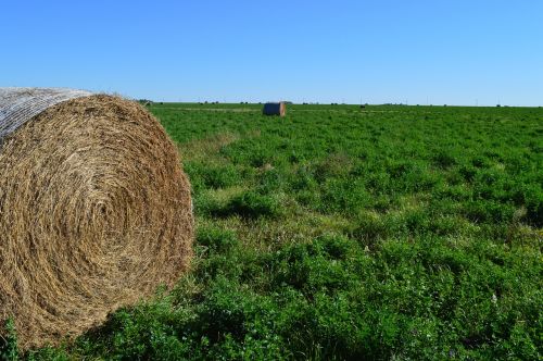 hay bale haystack nature