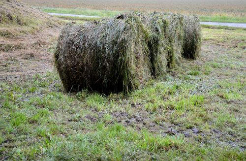 Hay Bales