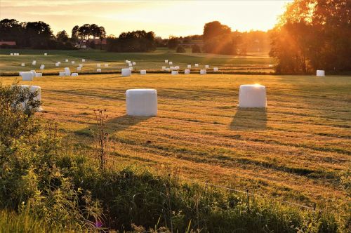 hay bales sunset sweden