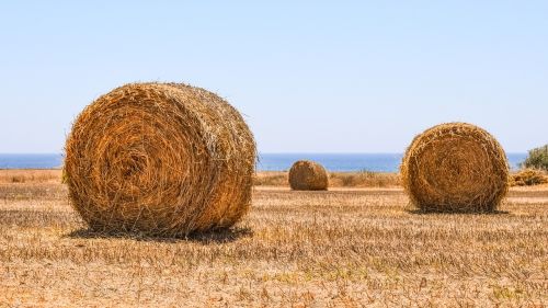 hay bales field agriculture