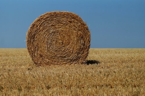 hay bales  straw  agriculture