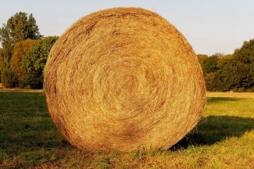 hay bales meadow hay