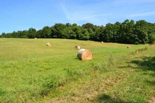 hay bales fields hay