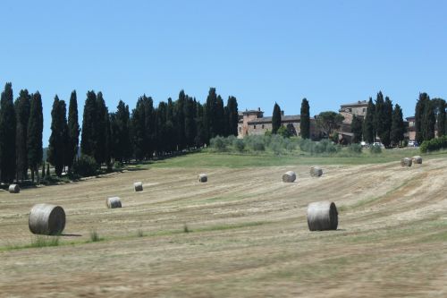 hay bales toscana italy